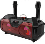 Dual Mic Speaker