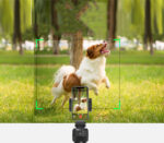 Smart Tracking Stick - Image 3
